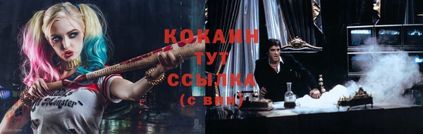индика Воткинск