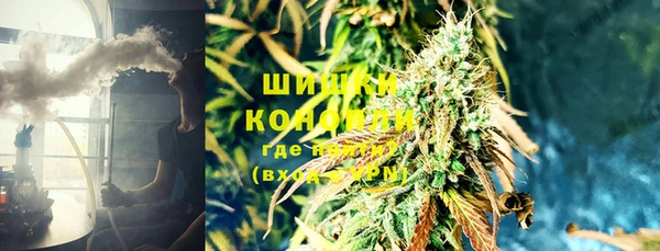 ПСИЛОЦИБИНОВЫЕ ГРИБЫ Новодвинск
