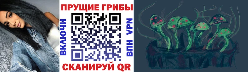 Галлюциногенные грибы Psilocybine cubensis  Петровск 