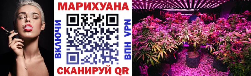наркотики  Петровск  Шишки марихуана Ganja 