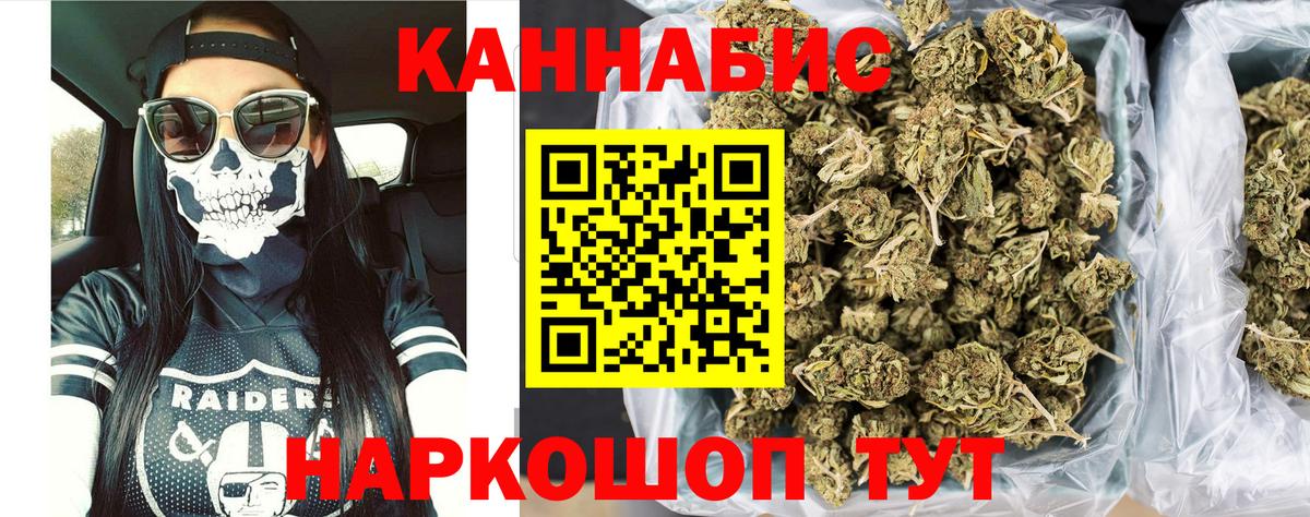 Конопля OG Kush Петровск